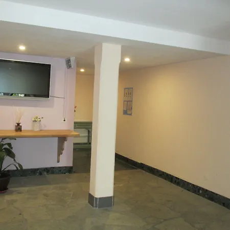 Patricia 公寓式酒店 采尔马特