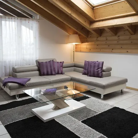 Patricia 公寓式酒店 采尔马特